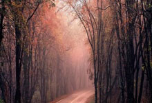 NBA在线直播JRS无插件直播靠谱吗?怎么用?优势在哪?