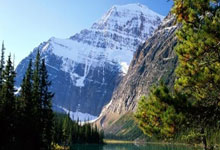 哪里能看五星体育在线直播高清无插件?